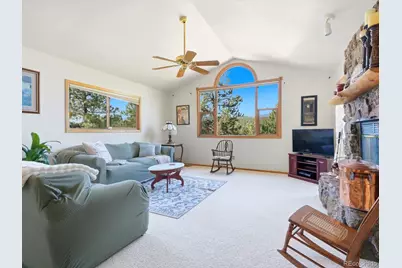 74 Badger Lane, Bailey, CO 80421 - Photo 4
