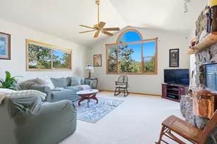 74 Badger Ln, Bailey, CO 80421 - Photo 4