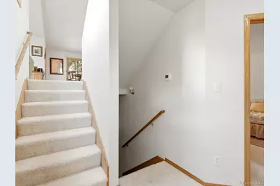 74 Badger Lane, Bailey, CO 80421 - Photo 22