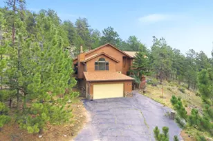 74 Badger Ln, Bailey, CO 80421 - Photo 2