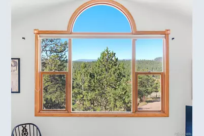 74 Badger Lane, Bailey, CO 80421 - Photo 6