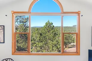 74 Badger Ln, Bailey, CO 80421 - Photo 6