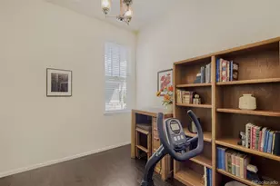3456 New Haven Cir, Castle Rock, CO 80109 - Photo 12