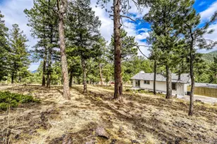 30171 Marge Ln, Evergreen, CO 80439 - Photo 30
