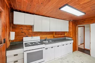 29980 Fir Dr, Evergreen, CO 80439 - Photo 8
