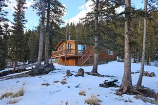 394 County Rd 14-A, Fairplay, CO 80440 - Photo 2