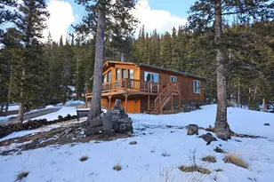 394 County Rd 14-A, Fairplay, CO 80440 - Photo 16