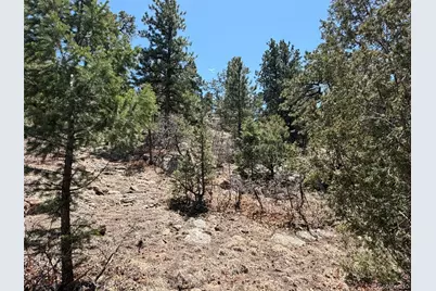 477 Bear Peak Road, Westcliffe, CO 81252 - Photo 6