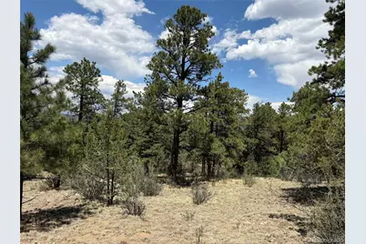 477 Bear Peak Road, Westcliffe, CO 81252 - Photo 22