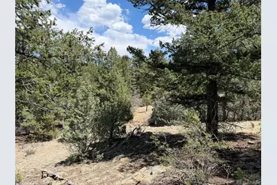 477 Bear Peak Road, Westcliffe, CO 81252 - Photo 20