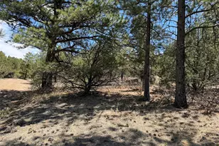 477 Bear Peak Rd, Westcliffe, CO 81252 - Photo 1