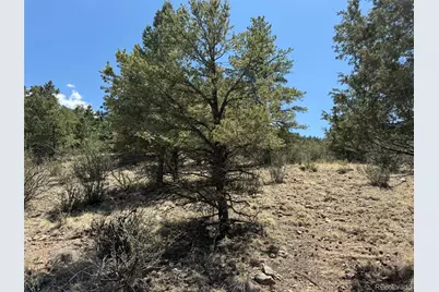 477 Bear Peak Road, Westcliffe, CO 81252 - Photo 24