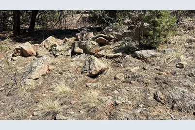 477 Bear Peak Road, Westcliffe, CO 81252 - Photo 8