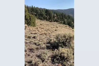 5079&5087 Delancey Road, Fort Garland, CO 81133 - Photo 2