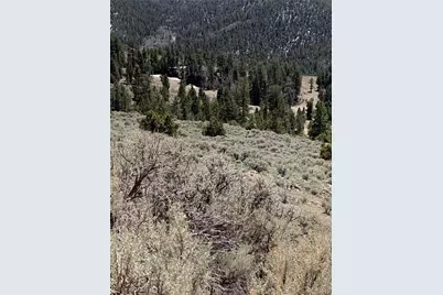 5079&5087 Delancey Road, Fort Garland, CO 81133 - Photo 30