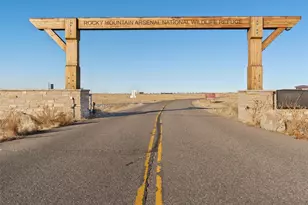 6092 Chester St, Denver, CO 80238 - Photo 44