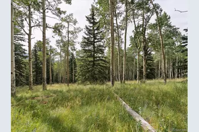 000 Snyder Mountain Road, Evergreen, CO 80439 - Photo 30