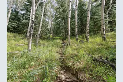 000 Snyder Mountain Road, Evergreen, CO 80439 - Photo 38