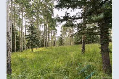 000 Snyder Mountain Road, Evergreen, CO 80439 - Photo 1
