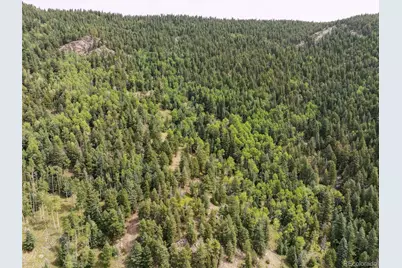 000 Snyder Mountain Road, Evergreen, CO 80439 - Photo 28