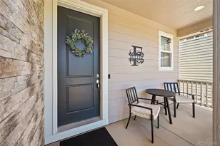9149 Fraser River St, Littleton, CO 80125 - Photo 8