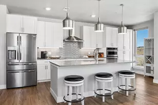 20 Wilcox Street, Castle Rock, CO 80104 - Photo 10