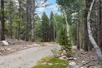 27 Vots Drive, Fairplay, CO 80440 - Photo 22