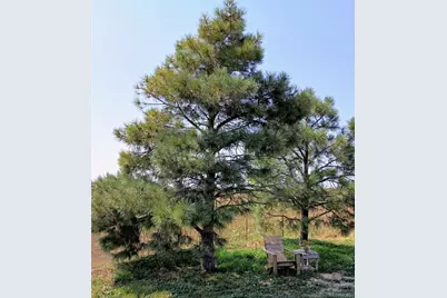 53647 County Road 36.4, Genoa, CO 80818 - Photo 4