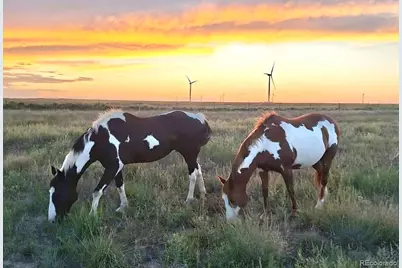 53647 County Road 36.4, Genoa, CO 80818 - Photo 1