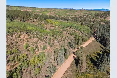 8567 Cr-3, Divide, CO 80814 - Photo 24