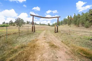 8567 Cr-3, Divide, CO 80814 - Photo 1