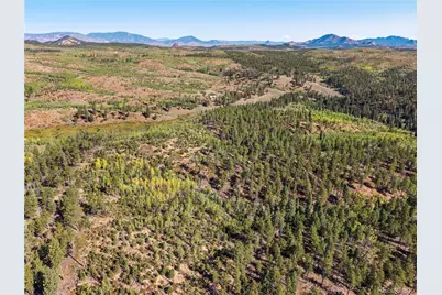 8567 Cr-3, Divide, CO 80814 - Photo 20