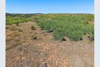 8567 Cr-3, Divide, CO 80814 - Photo 14