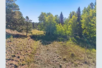 8567 Cr-3, Divide, CO 80814 - Photo 22