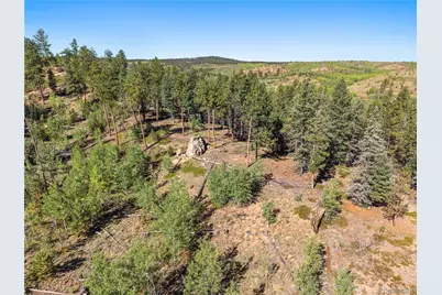 8567 Cr-3, Divide, CO 80814 - Photo 26