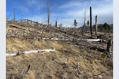 Lot 1020 & 1021 Hassan Lane, Fort Garland, CO 81133 - Photo 14