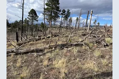 Lot 1020 & 1021 Hassan Lane, Fort Garland, CO 81133 - Photo 12