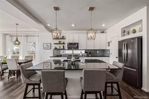 16502 E 111th Dr, Commerce City, CO 80022 - Photo 4