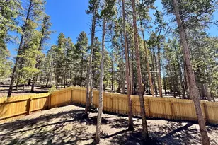 82 Adelaide Ct, Leadville, CO 80461 - Photo 28