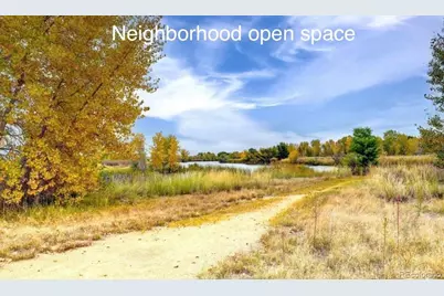 10592 Butte Drive, Longmont, CO 80504 - Photo 32