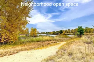 10592 Butte Dr, Longmont, CO 80504 - Photo 32