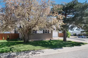 11340 Marion St, Northglenn, CO 80233 - Photo 4
