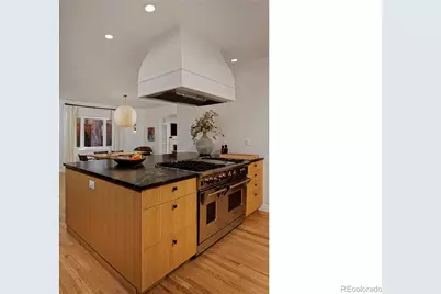 590 Race Street, Denver, CO 80206 - Photo 10
