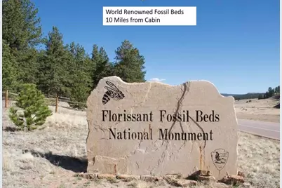 1978 High Chateau Rd. Road, Florissant, CO 80816 - Photo 22