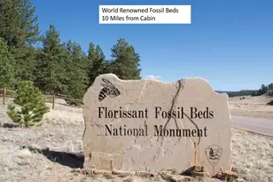 1978 High Chateau Rd Rd, Florissant, CO 80816 - Photo 22