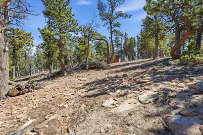 33149 Janelle Circle, Golden, CO 80403 - Photo 14