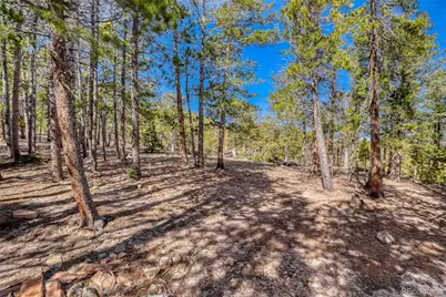 33149 Janelle Circle, Golden, CO 80403 - Photo 6