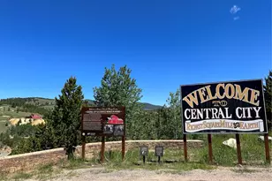 300 Roworth Way, Central City, CO 80427 - Photo 28