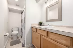 1833 N Williams St, Denver, CO 80218 - Photo 16