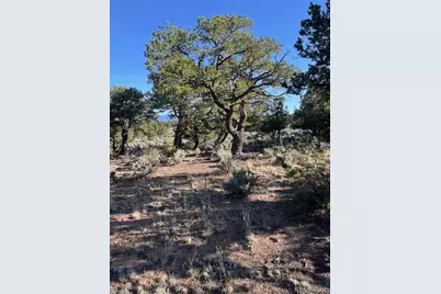 Lot 7138 Dunklau Road, Fort Garland, CO 81133 - Photo 12